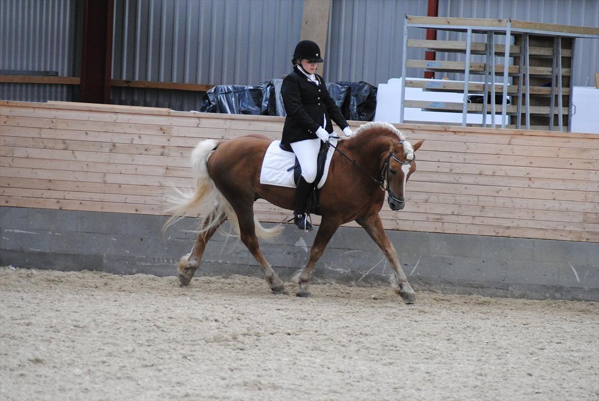 William HAH 19 & Rikke Møller Beck billede 17