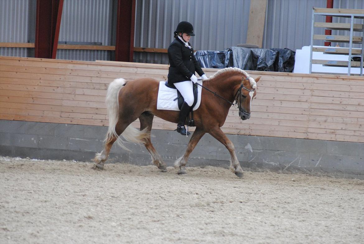 William HAH 19 & Rikke Møller Beck billede 18