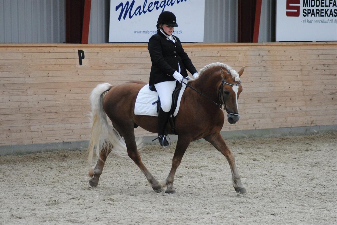 William HAH 19 & Rikke Møller Beck billede 19