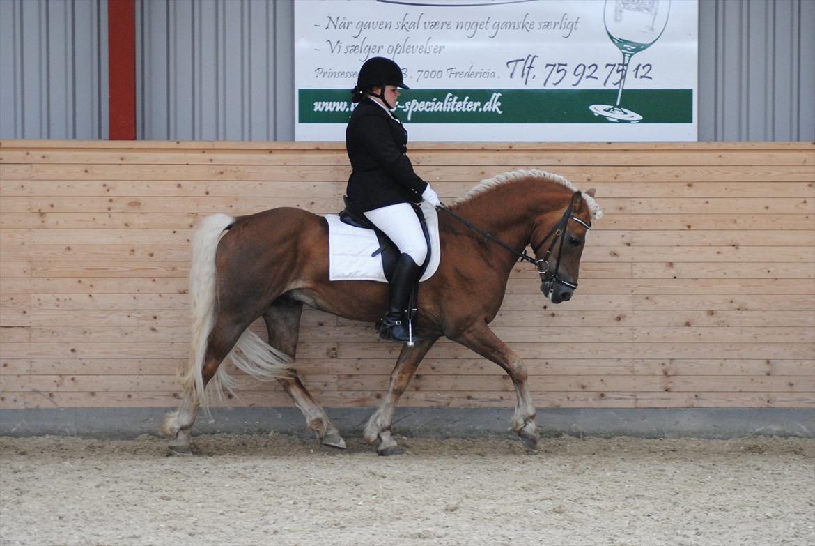 William HAH 19 & Rikke Møller Beck billede 20