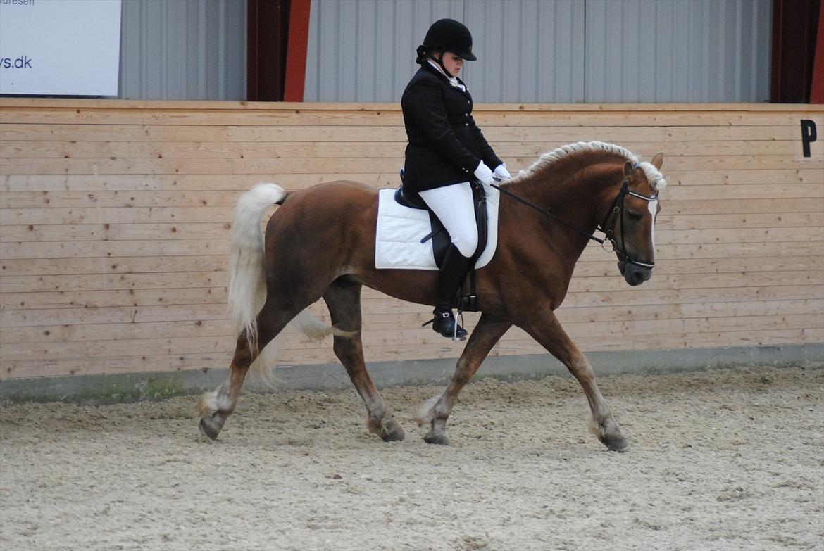 William HAH 19 & Rikke Møller Beck billede 21