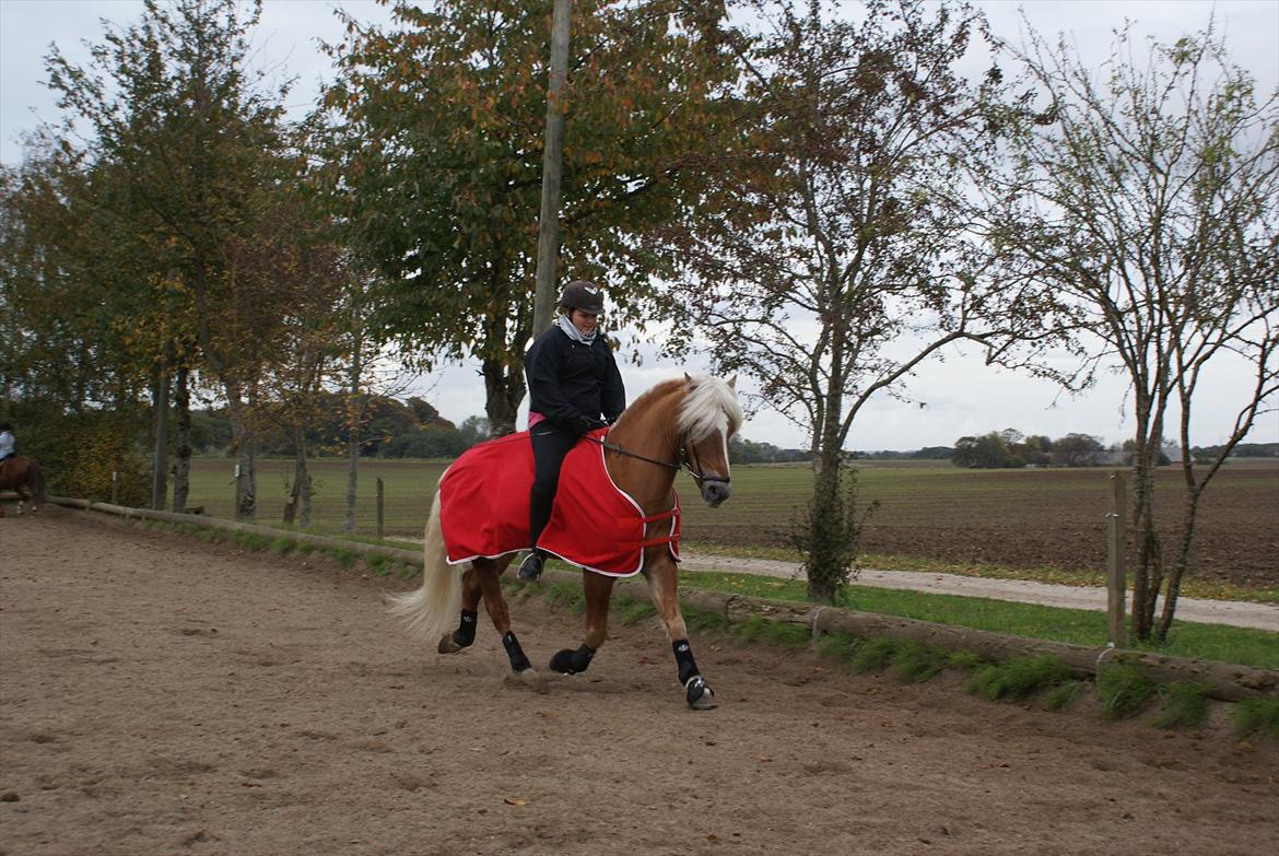William HAH 19 & Rikke Møller Beck billede 22