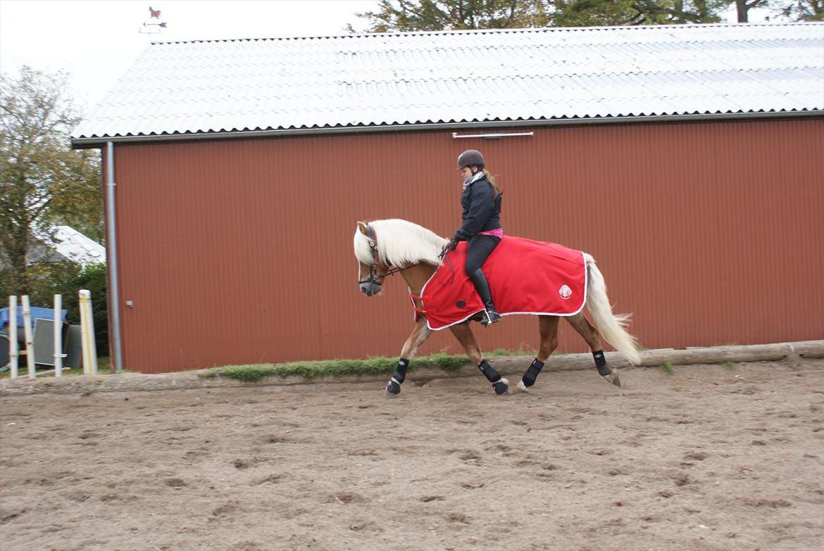 William HAH 19 & Rikke Møller Beck billede 23