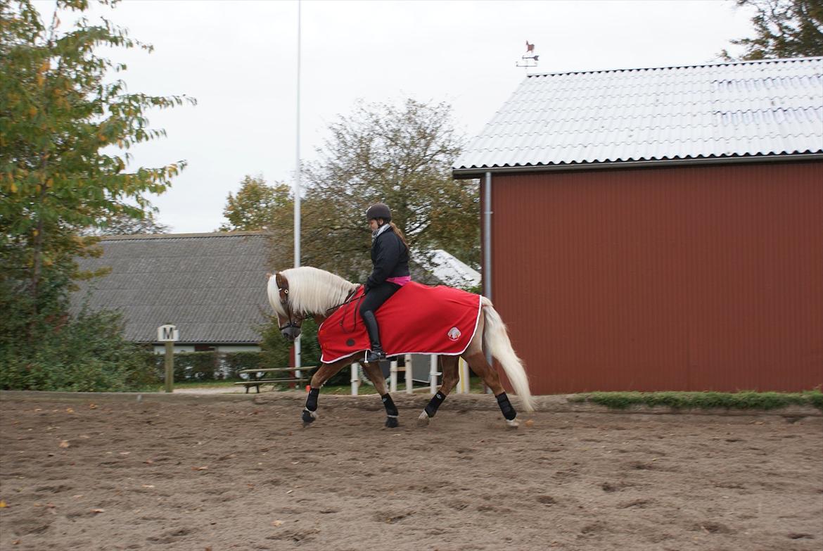 William HAH 19 & Rikke Møller Beck billede 24