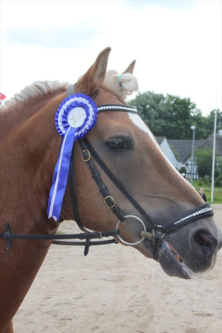 William HAH 19 & Rikke Møller Beck billede 26