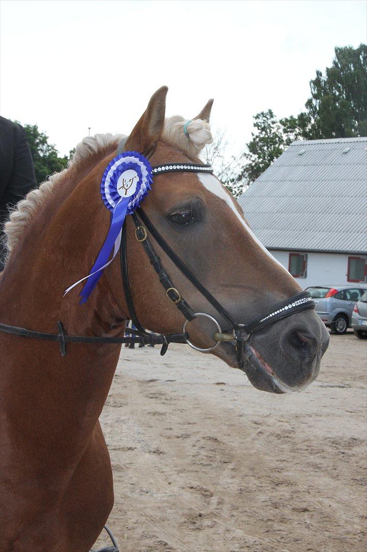 William HAH 19 & Rikke Møller Beck billede 28