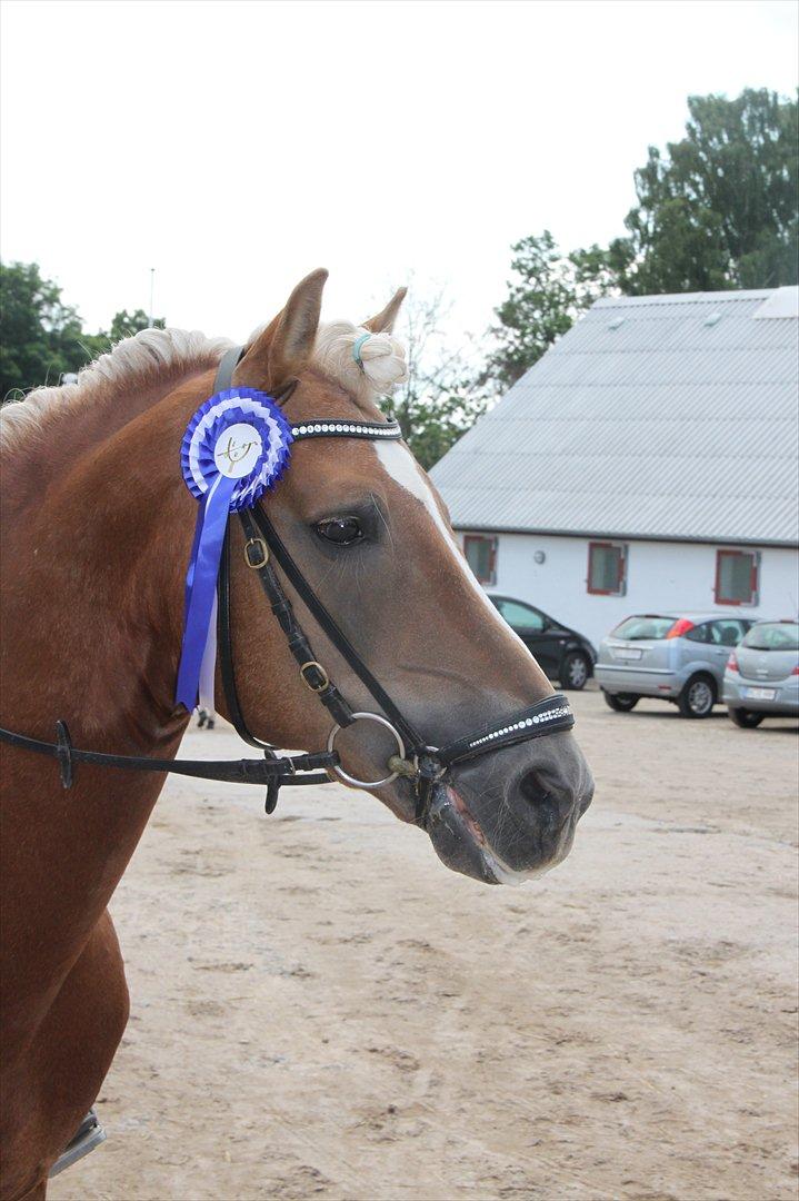 William HAH 19 & Rikke Møller Beck billede 29