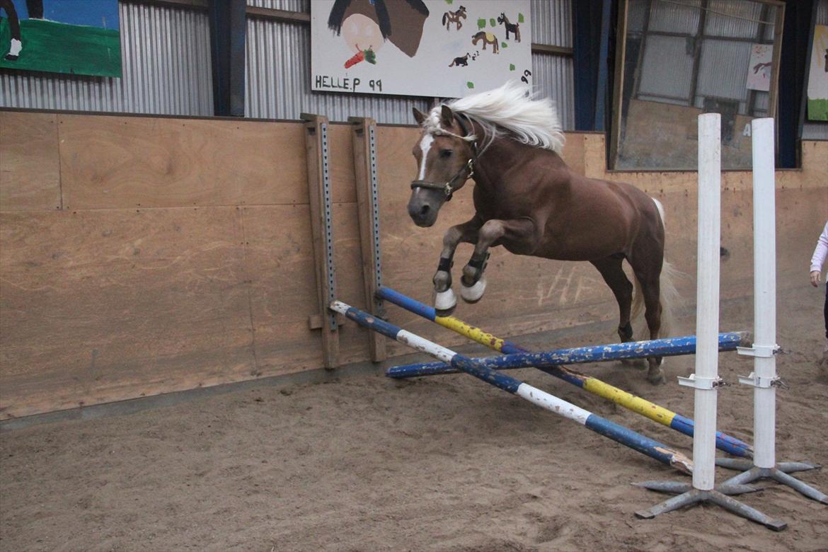 William HAH 19 & Rikke Møller Beck billede 33