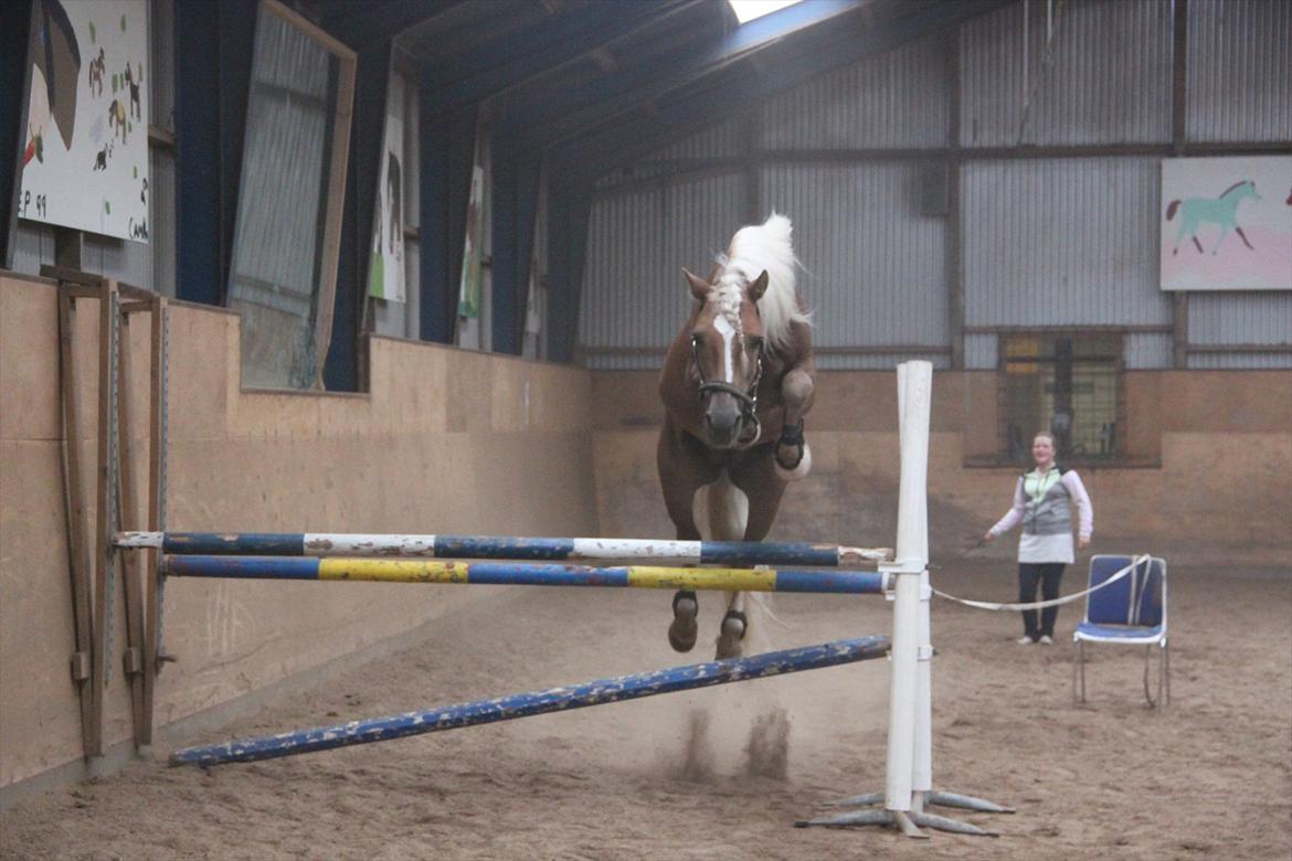 William HAH 19 & Rikke Møller Beck billede 34