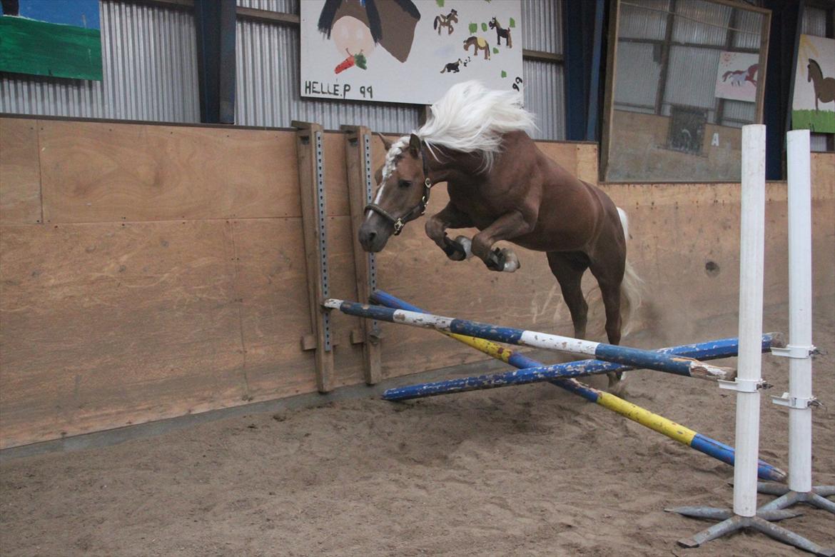 William HAH 19 & Rikke Møller Beck billede 38