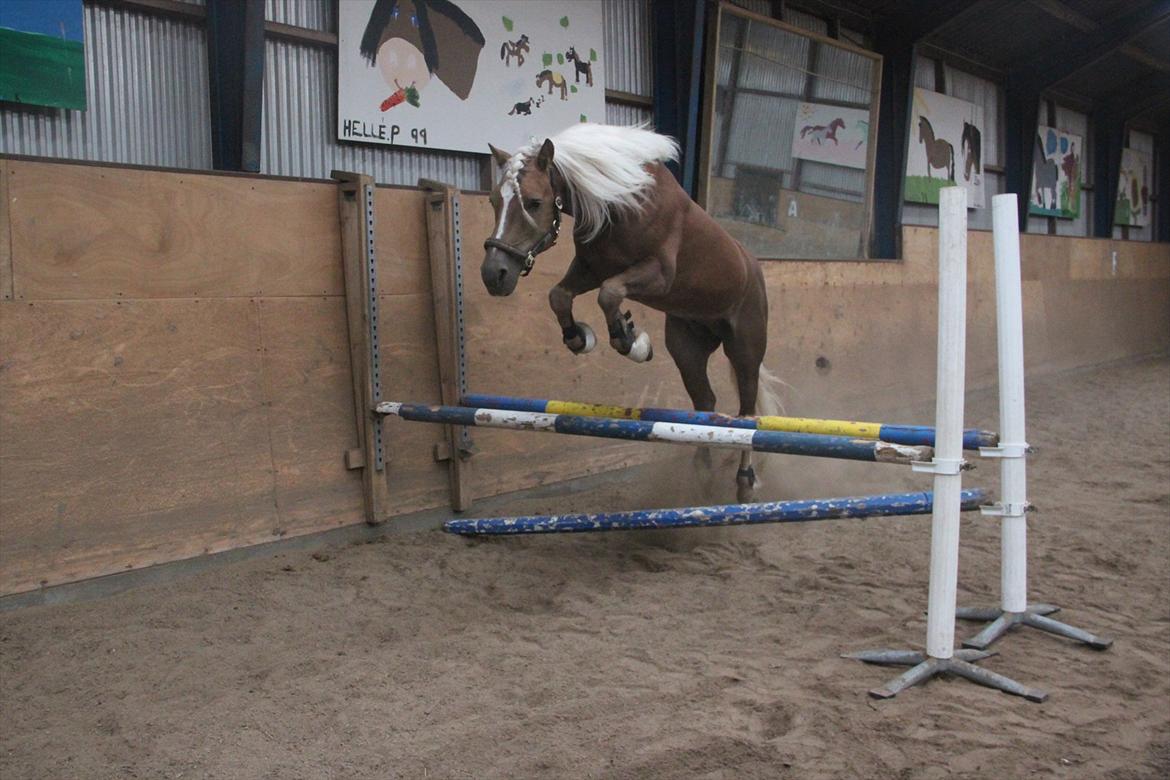 William HAH 19 & Rikke Møller Beck billede 39