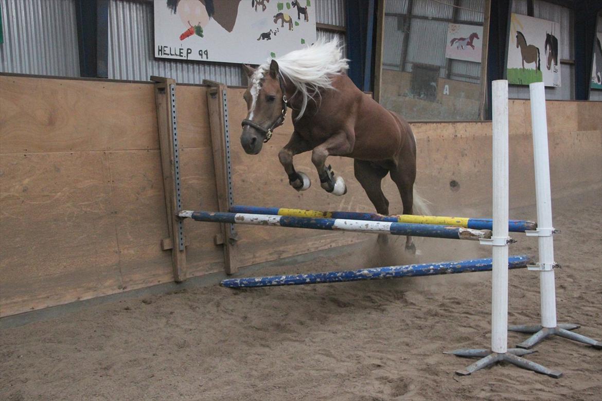 William HAH 19 & Rikke Møller Beck billede 40