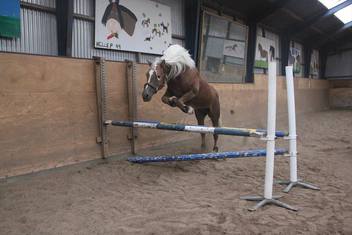 William HAH 19 & Rikke Møller Beck billede 41