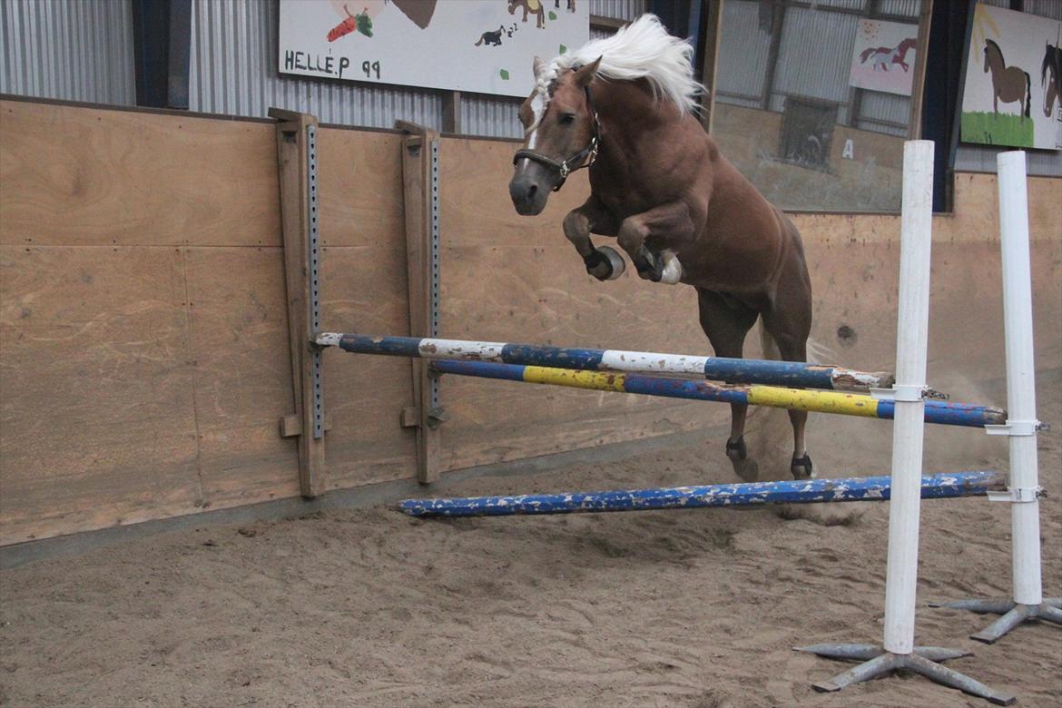 William HAH 19 & Rikke Møller Beck billede 42