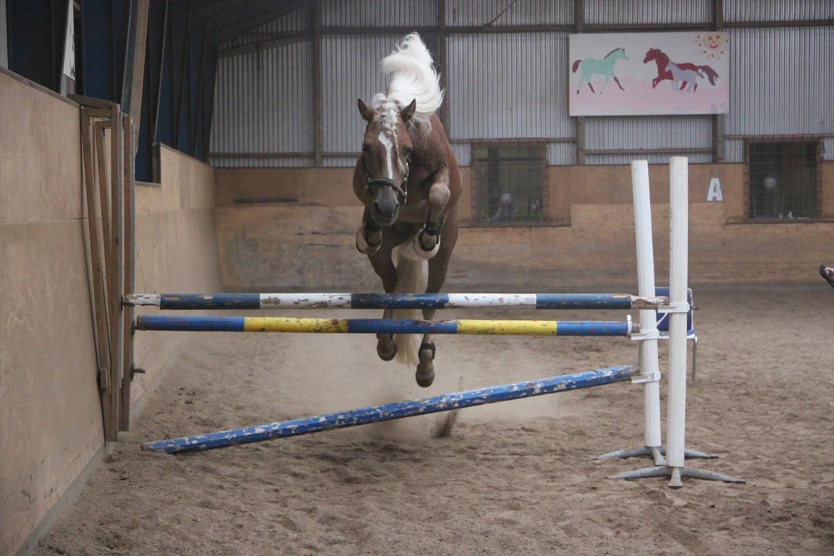 William HAH 19 & Rikke Møller Beck billede 43