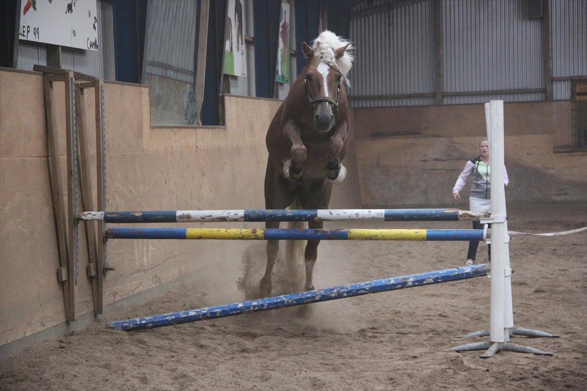 William HAH 19 & Rikke Møller Beck billede 44