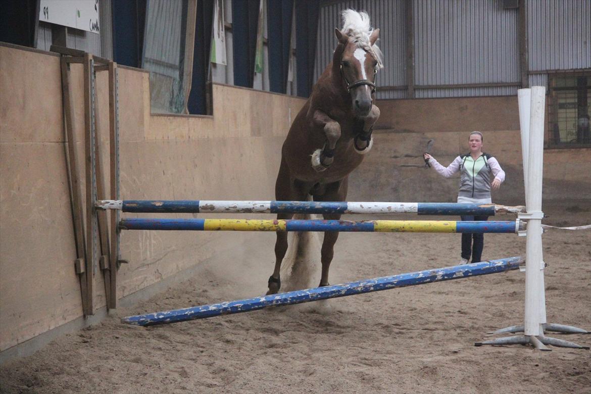 William HAH 19 & Rikke Møller Beck billede 45