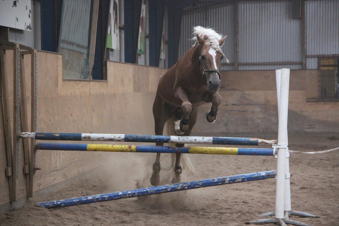 William HAH 19 & Rikke Møller Beck billede 46