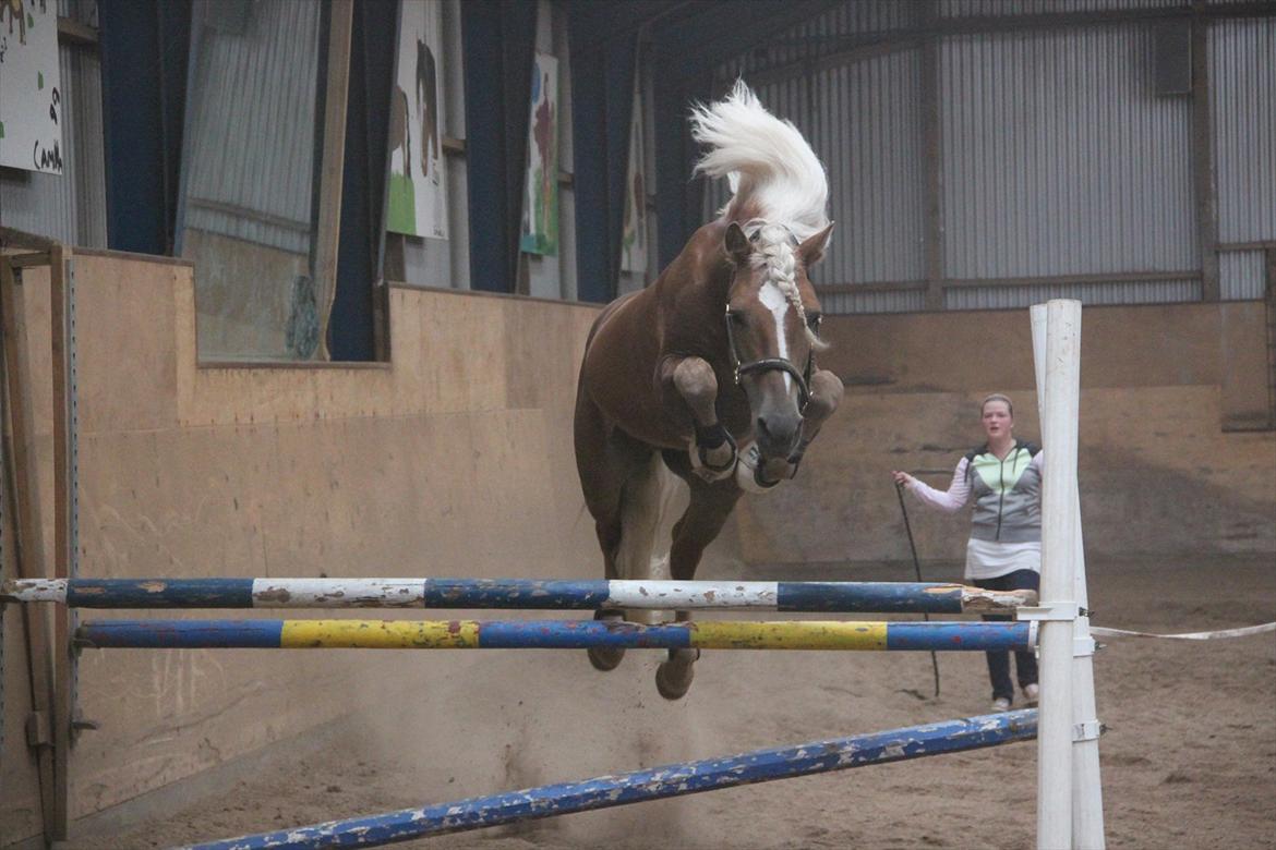 William HAH 19 & Rikke Møller Beck billede 47