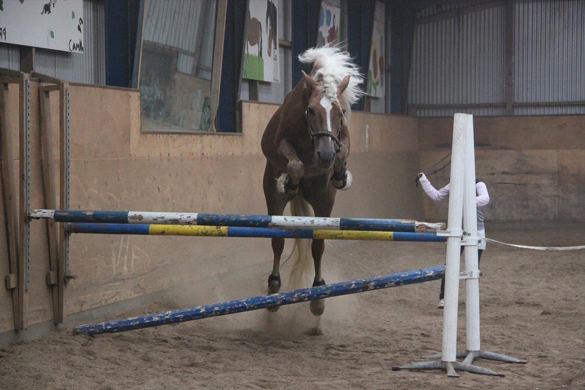 William HAH 19 & Rikke Møller Beck billede 48