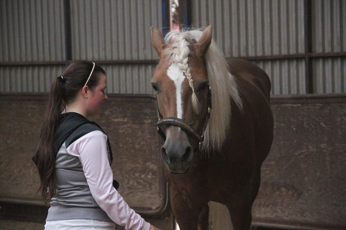 William HAH 19 & Rikke Møller Beck billede 49