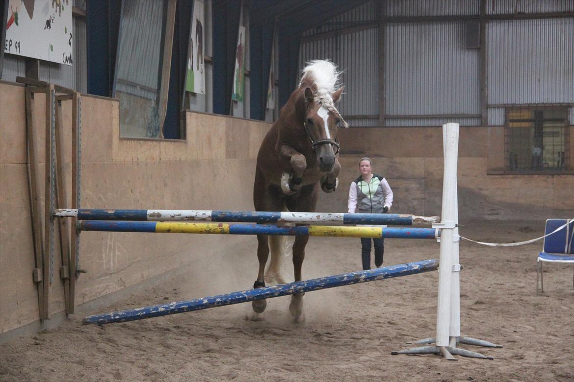 William HAH 19 & Rikke Møller Beck billede 50
