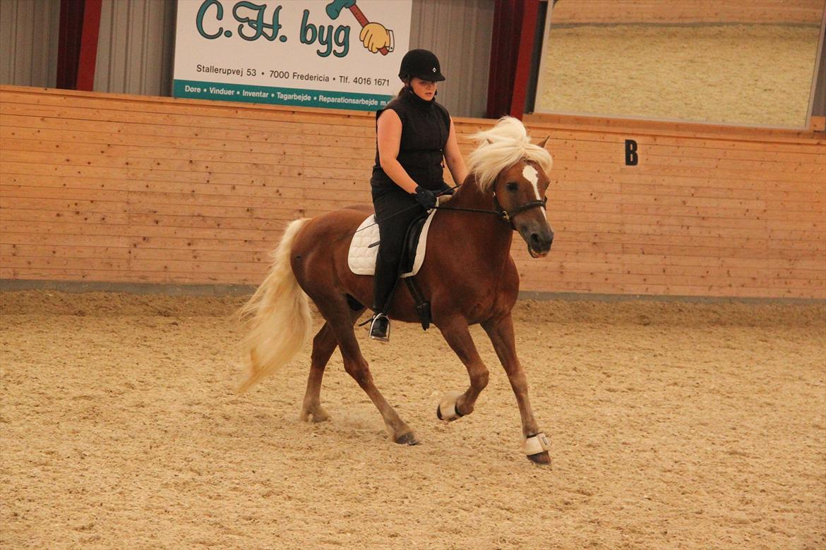 William HAH 19 & Rikke Møller Beck billede 51