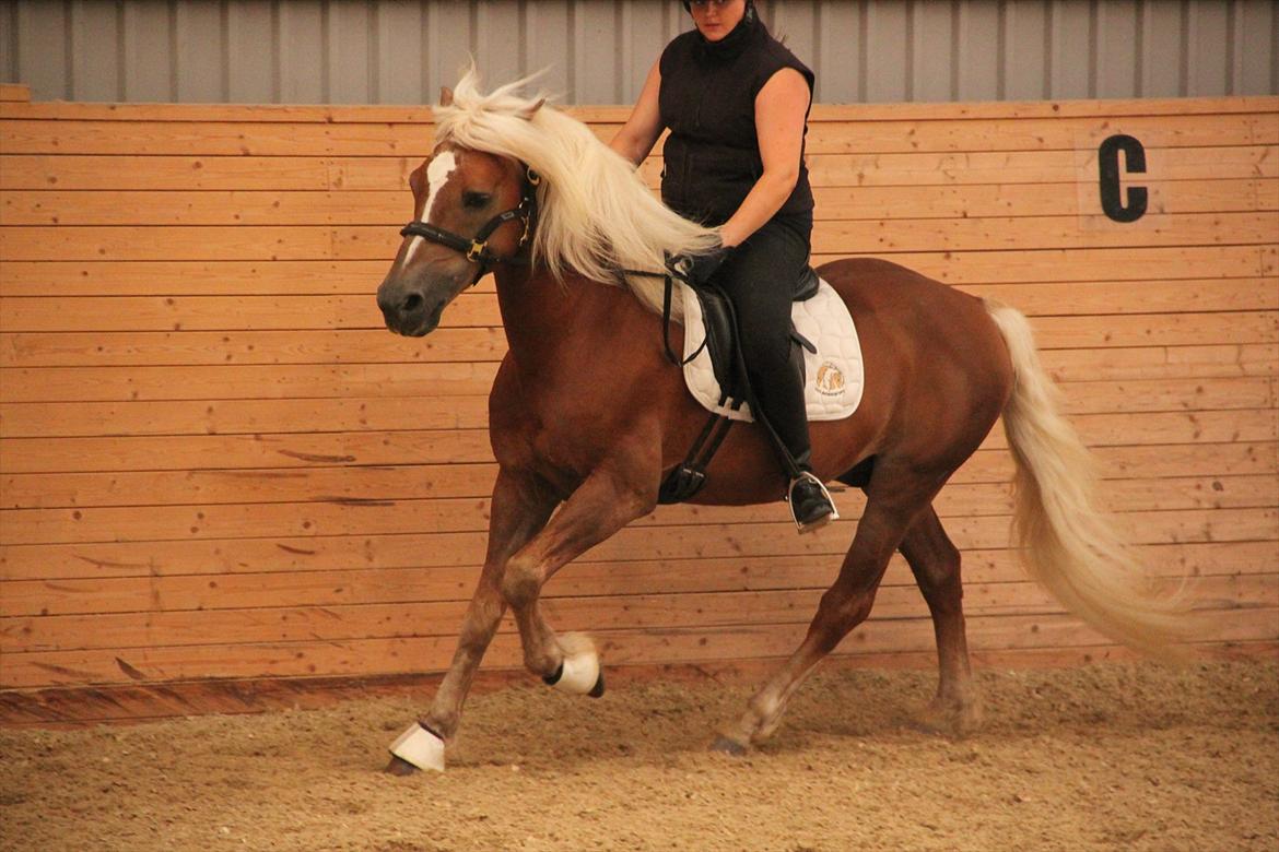 William HAH 19 & Rikke Møller Beck billede 52