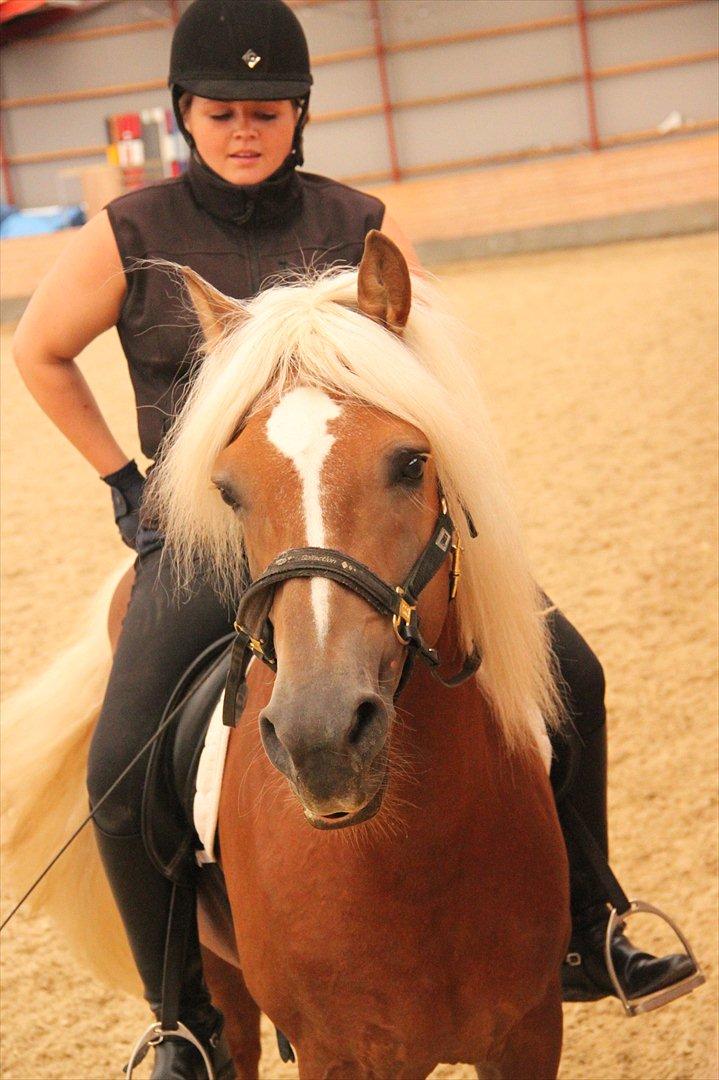 William HAH 19 & Rikke Møller Beck billede 53