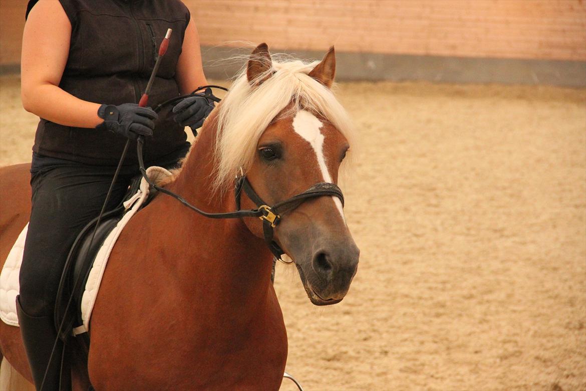 William HAH 19 & Rikke Møller Beck billede 54