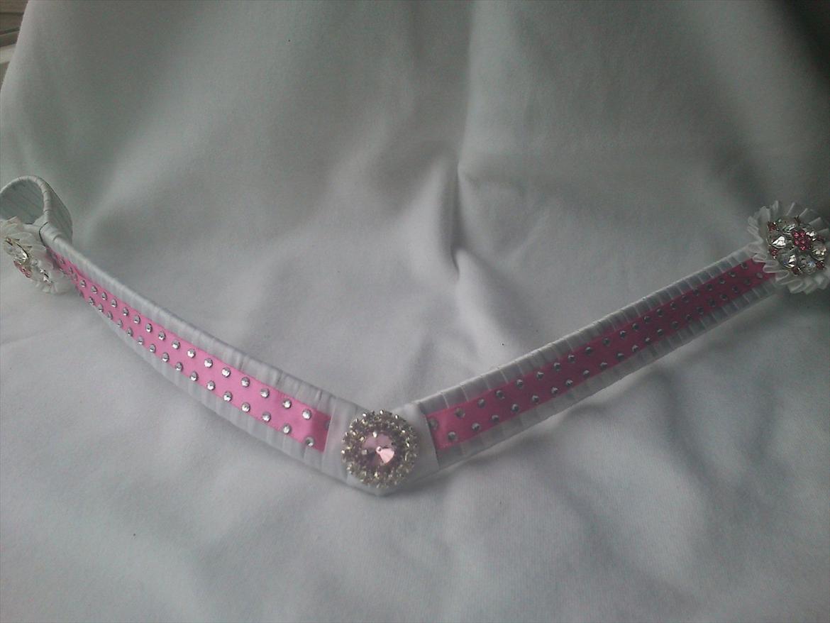 Hjemmelavet til heste billede 8