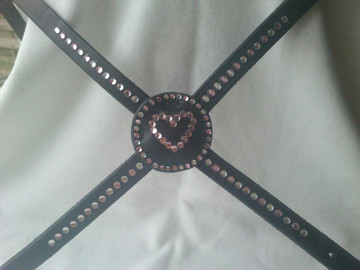 Hjemmelavet til heste - Har dekoreret svigerindens krydsnæsebånd. billede 6