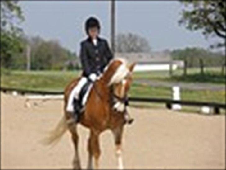 Star-team mille-anna - Stævne, Rødding/Jels maj 2011, LD 1 + LD 2, 1. + 2. plads  billede 9