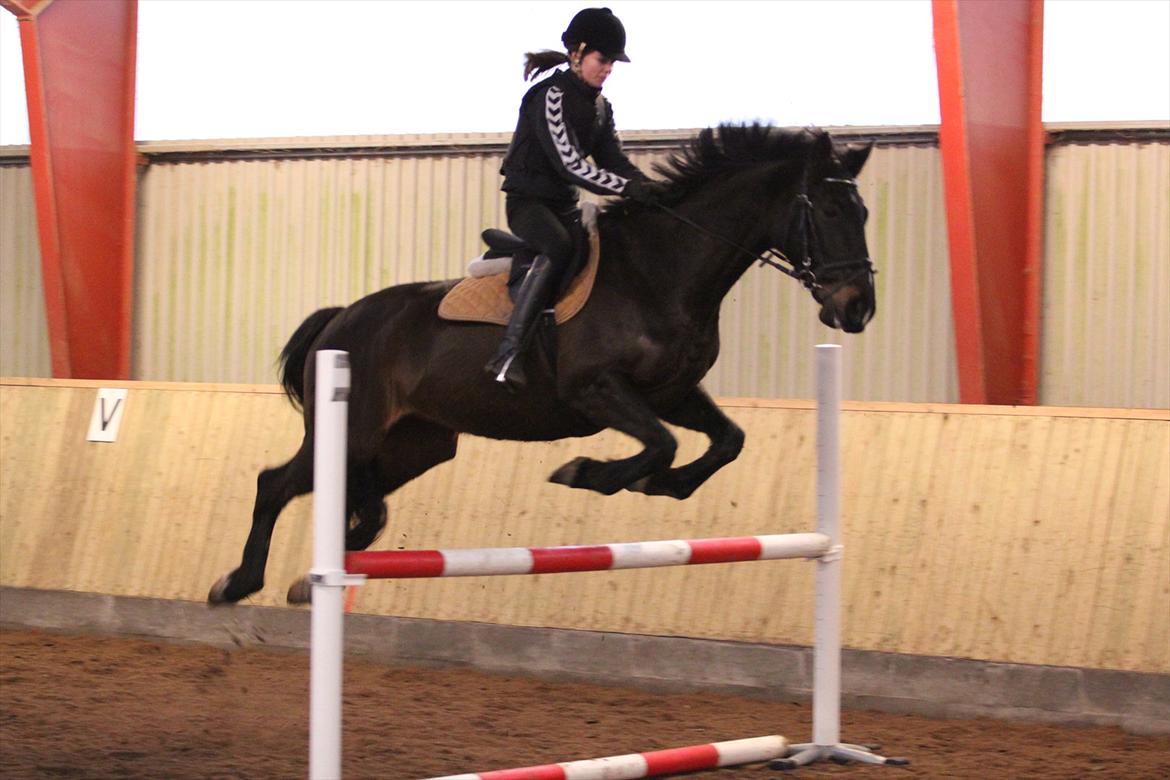 Lidt uheldige billeder af Lopez :)<3 haha:D - Kom nu Mathilde, rid ordenligt... Nej, det gjorde du sp ikke, så klarer jeg det da bare selv.. HOLD FAAST!! (& Jeg blev sgu på!! ) billede 10