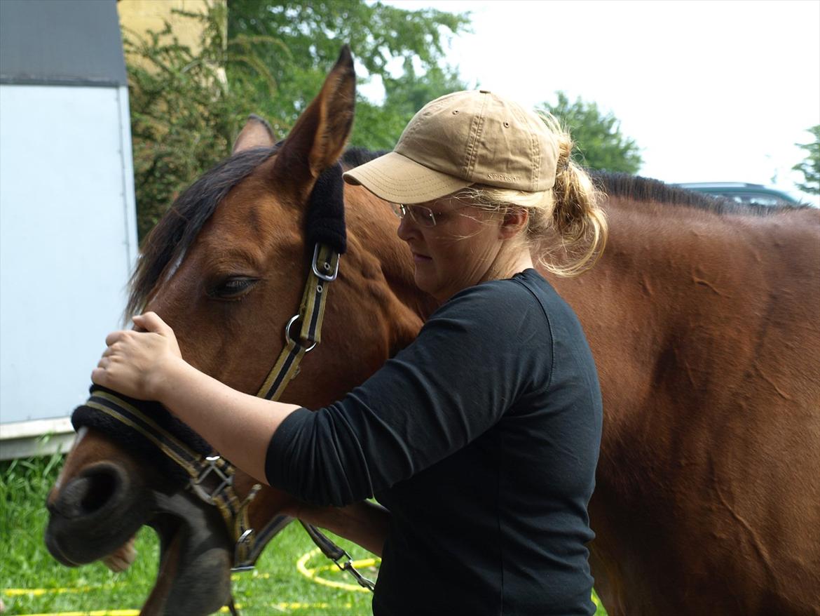 hestene hr besøg af fysioterapeut karin wyrtz billede 8