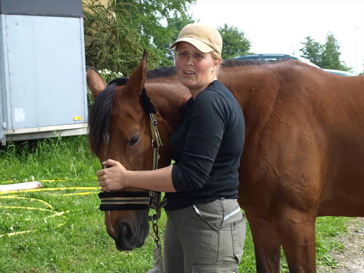 hestene hr besøg af fysioterapeut karin wyrtz billede 9