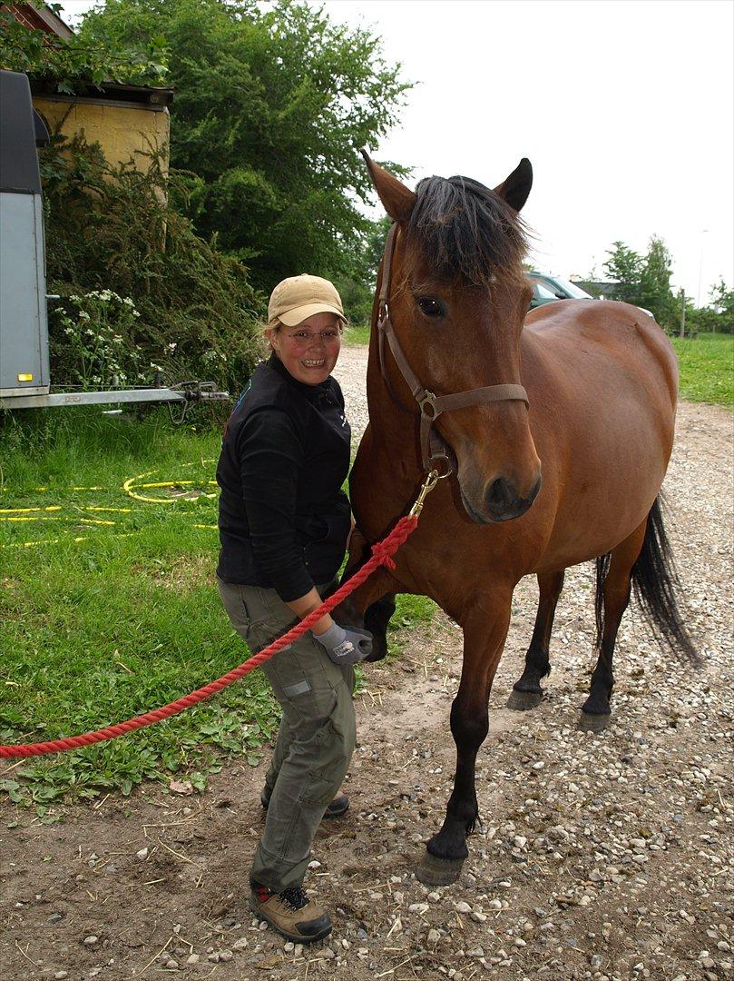 hestene hr besøg af fysioterapeut karin wyrtz billede 15