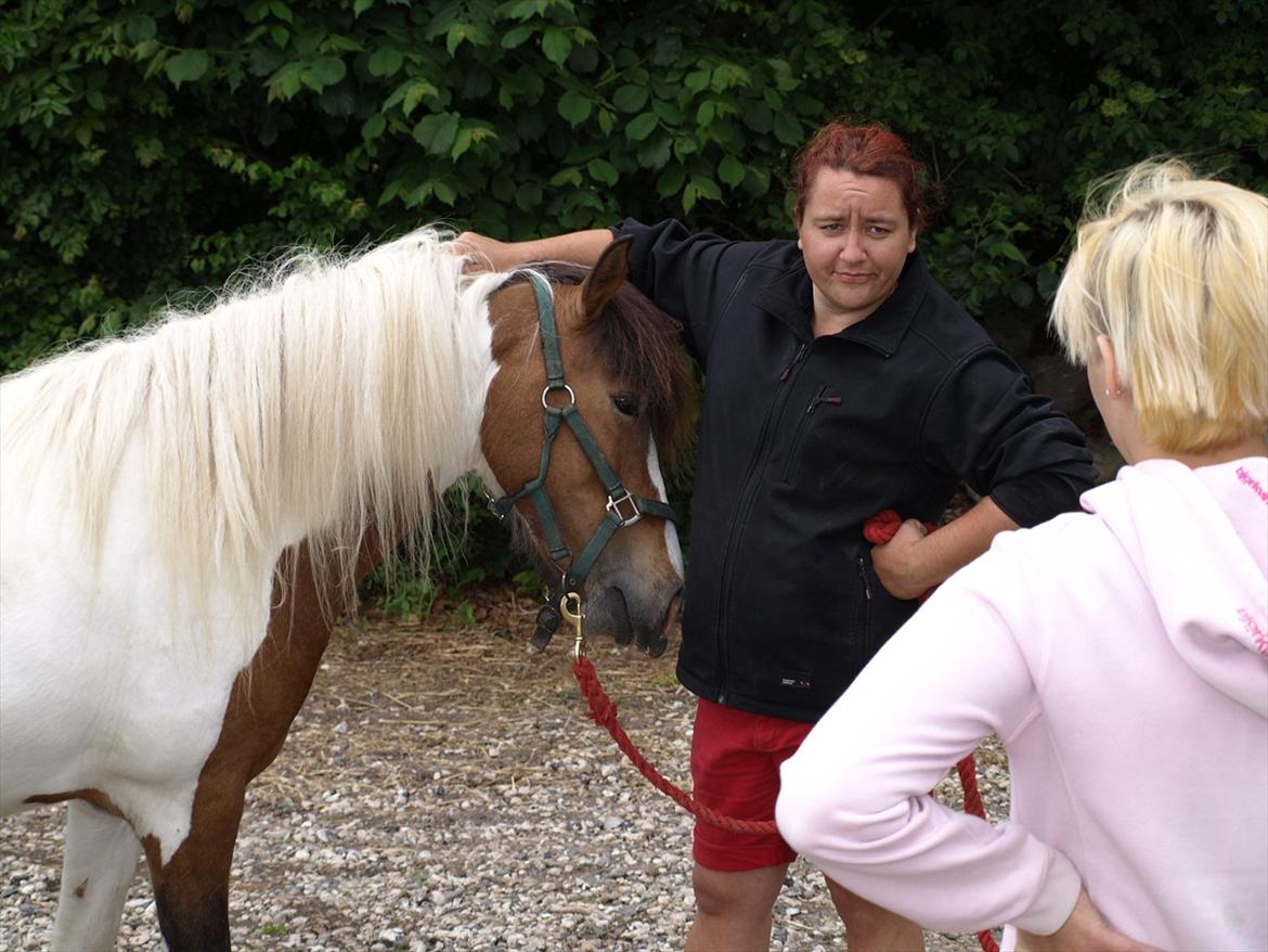 hestene hr besøg af fysioterapeut karin wyrtz billede 54