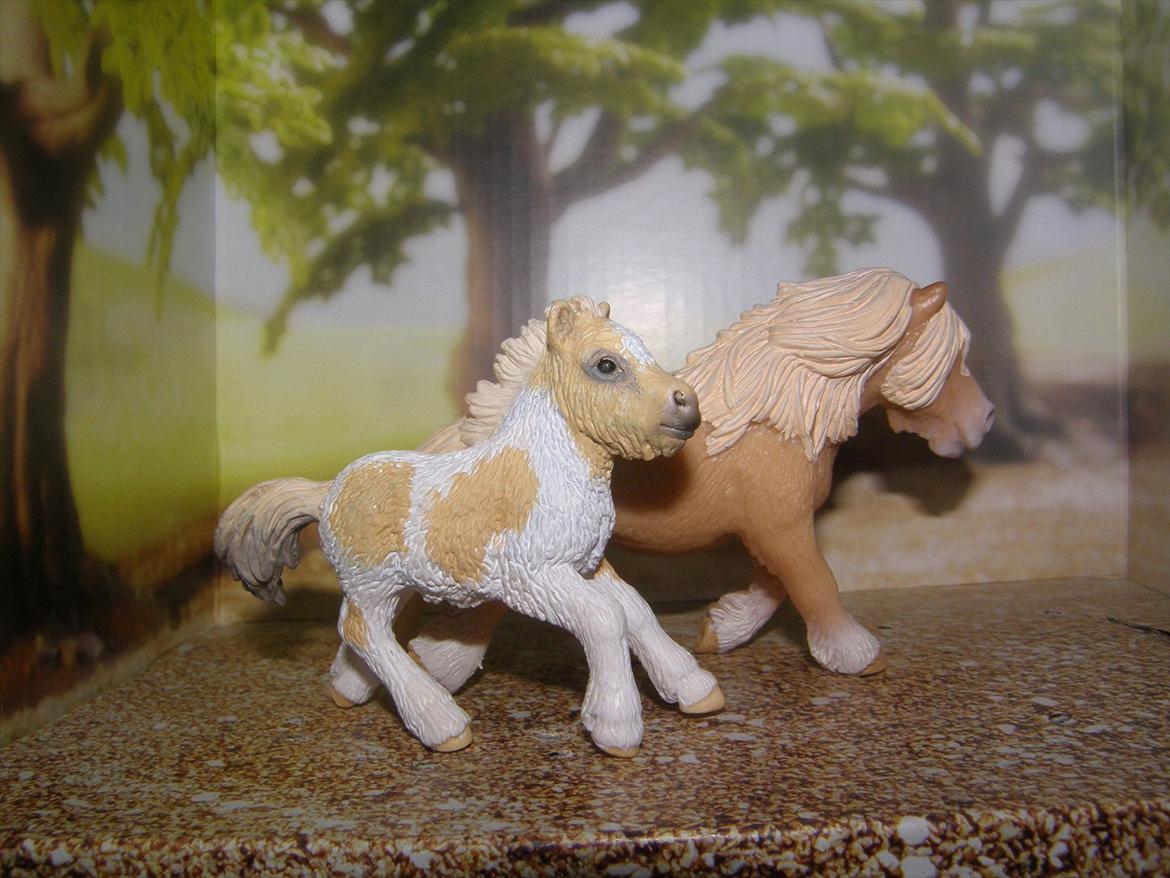 Mine Schleich Dyr - Navn: Amber Light Race: Shetlænder Køn: Hoppe Alder: 10 år Modelmalet. Navn: Hindbærgården's Twinkelhop Race: Shetlænder Køn: Hoppe Alder: 2 mdr. Stamtavle: Mor: Amber Light Far: Ukendt billede 55
