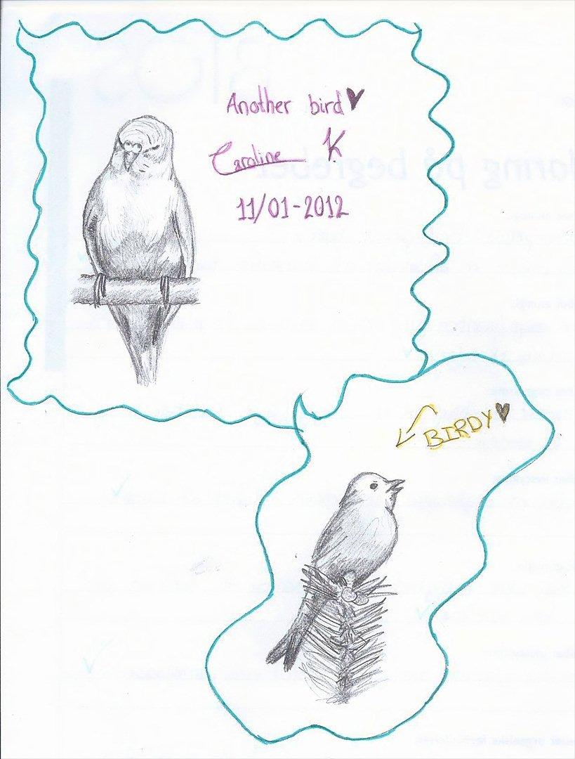 Flere tegninger .. - Tegning tegnet i biologitimen.. Er selv ret tilfreds med den øverste :) billede 14