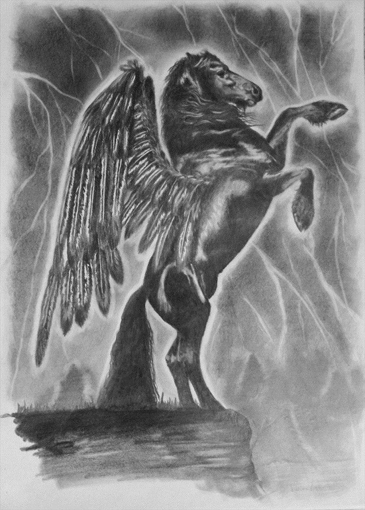 Tegninger, heste og et par hunde - Blyant og grafit A3 billede 7