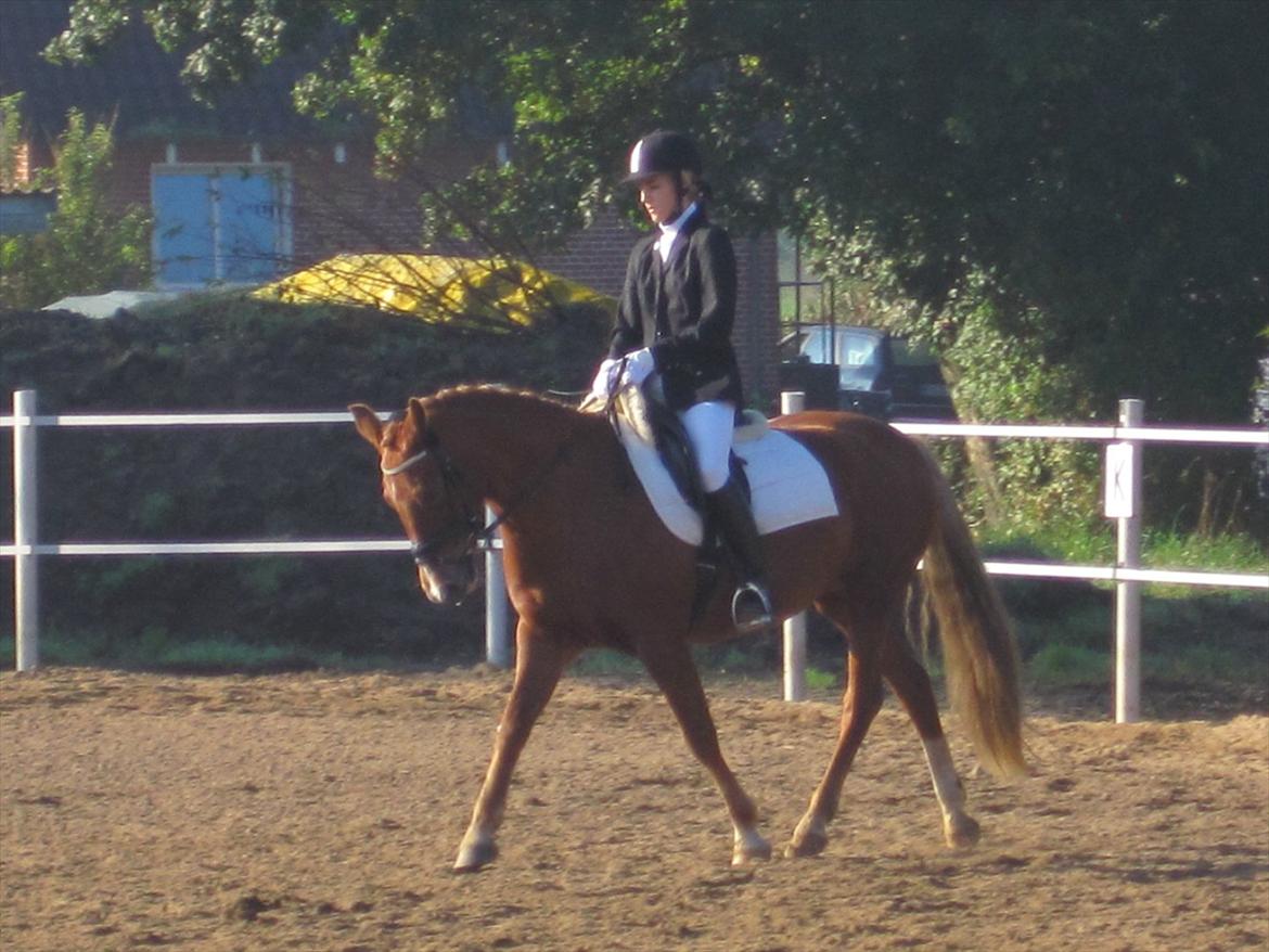 Stævne i Ryttergården Ravnkilde :) billede 1