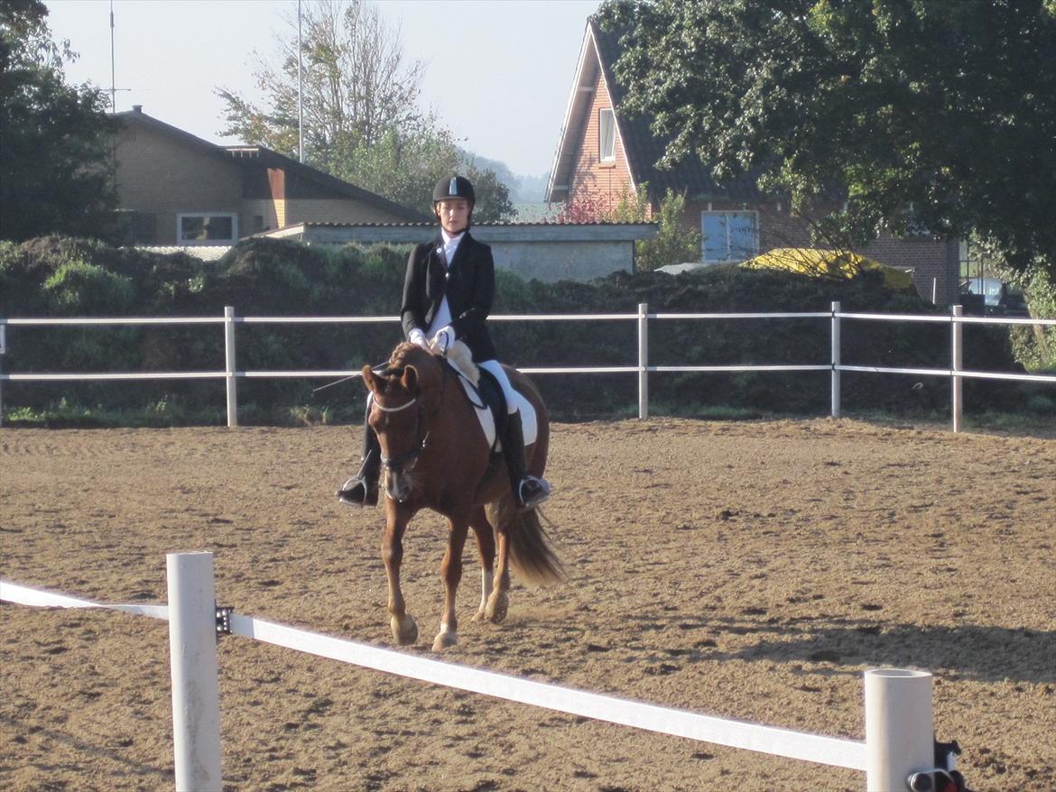 Stævne i Ryttergården Ravnkilde :) billede 4