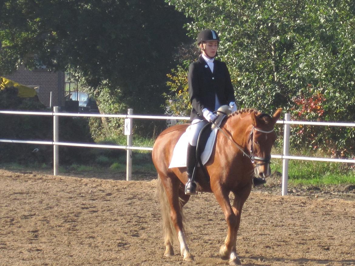 Stævne i Ryttergården Ravnkilde :) billede 5