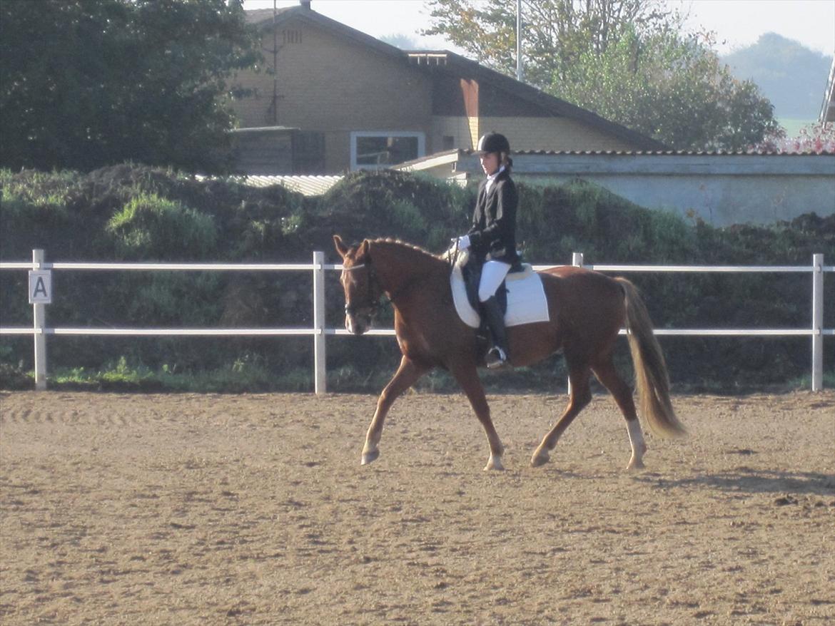 Stævne i Ryttergården Ravnkilde :) billede 2