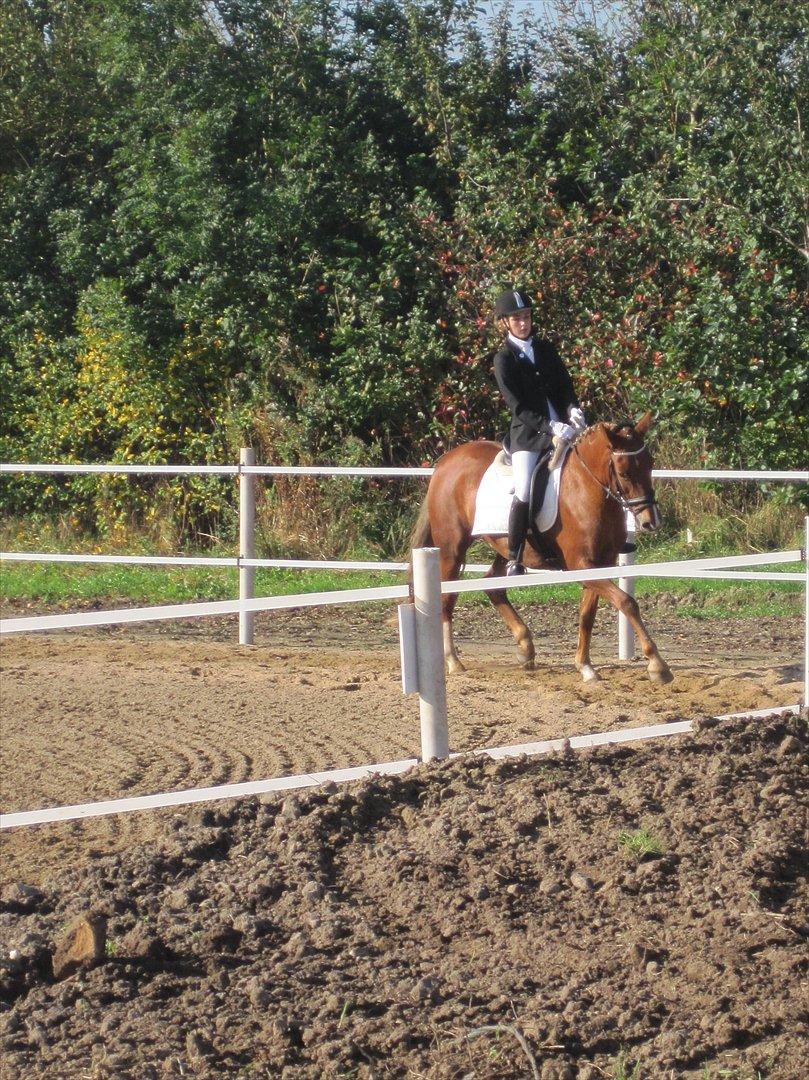 Stævne i Ryttergården Ravnkilde :) billede 6