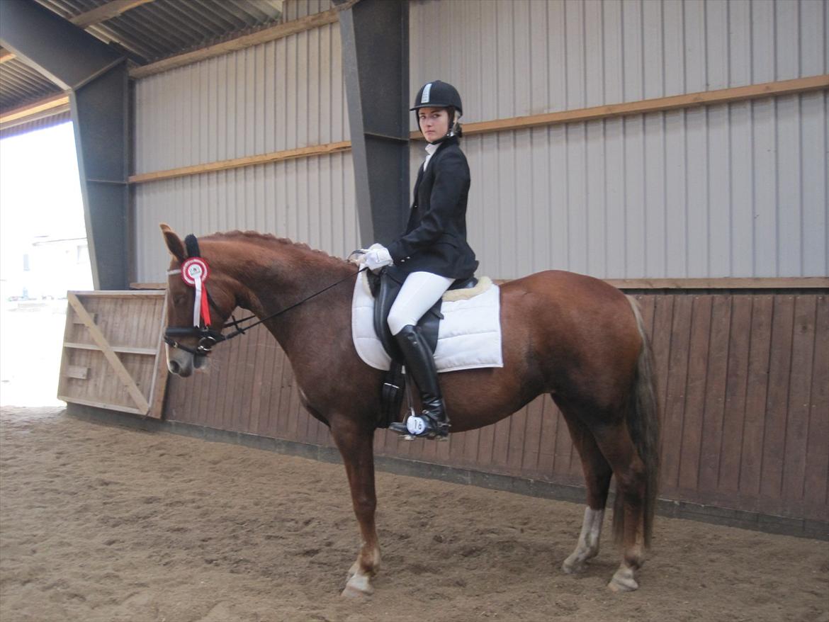 Stævne i Ryttergården Ravnkilde :) - 1.plads i LC3 :) billede 7