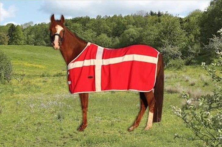 Drømme Udstyr <3 - Dannebrogsdækken str 135 billede 4