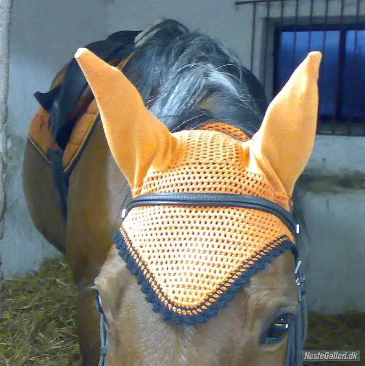 Drømme Udstyr <3 - Orange hut str Pony billede 7