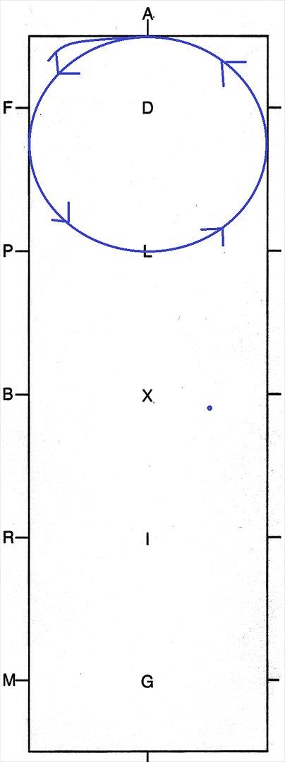 LC1 program TEGNING - ca. ved A Arbejdsgalop til venstre
A Volte - 20 m i diameter billede 4